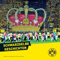 Buch: Schwarzgelbe Geschichten BVB 09